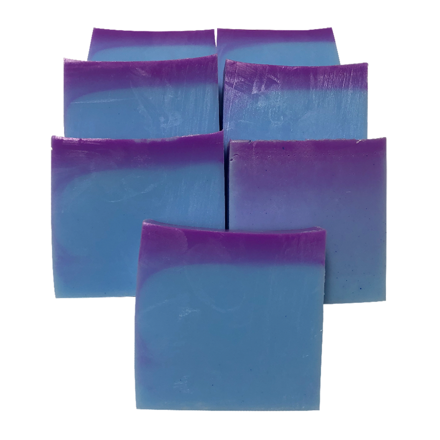 Blueberry Delish Soap Bar